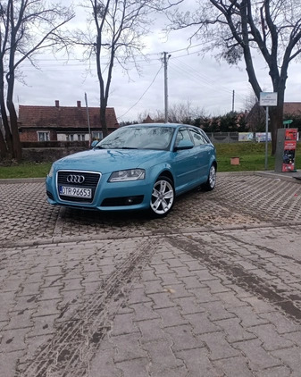 Audi A3 cena 28900 przebieg: 247777, rok produkcji 2008 z Przedbórz małe 106